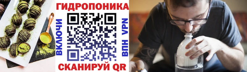 гидра как войти  сколько стоит  Мензелинск  Печенье с ТГК марихуана 
