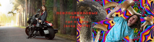 гидра Алзамай