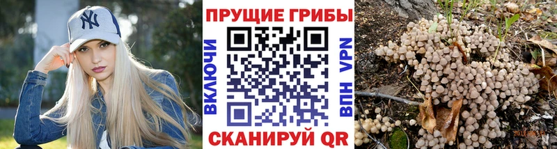площадка как зайти  Мензелинск  Псилоцибиновые грибы ЛСД  даркнет сайт 